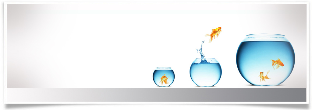 Từ A Đến Z Để Sống Một Cuộc Sống Giàu Có